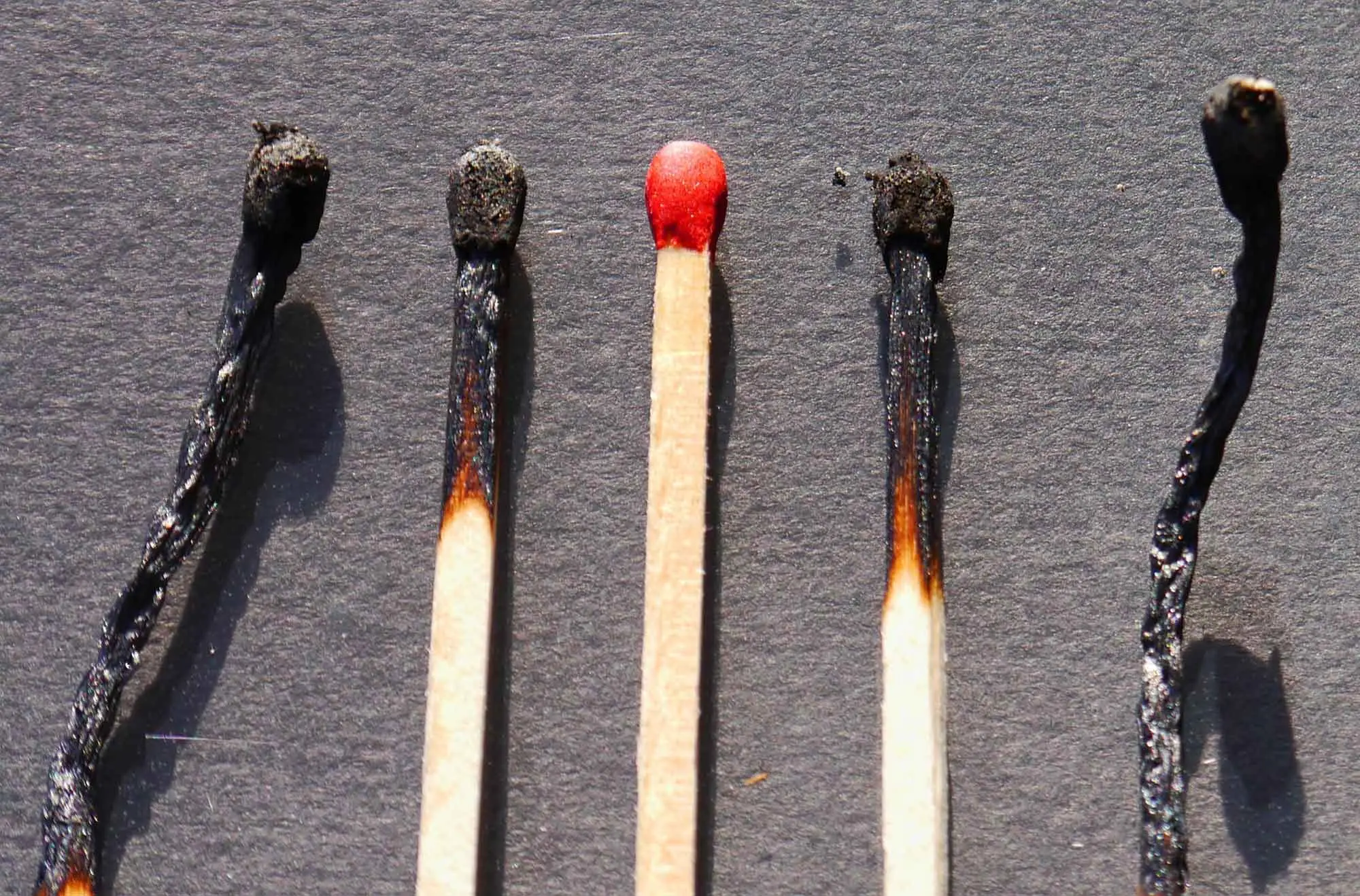 Bağışlamak